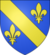 blason thiembronne